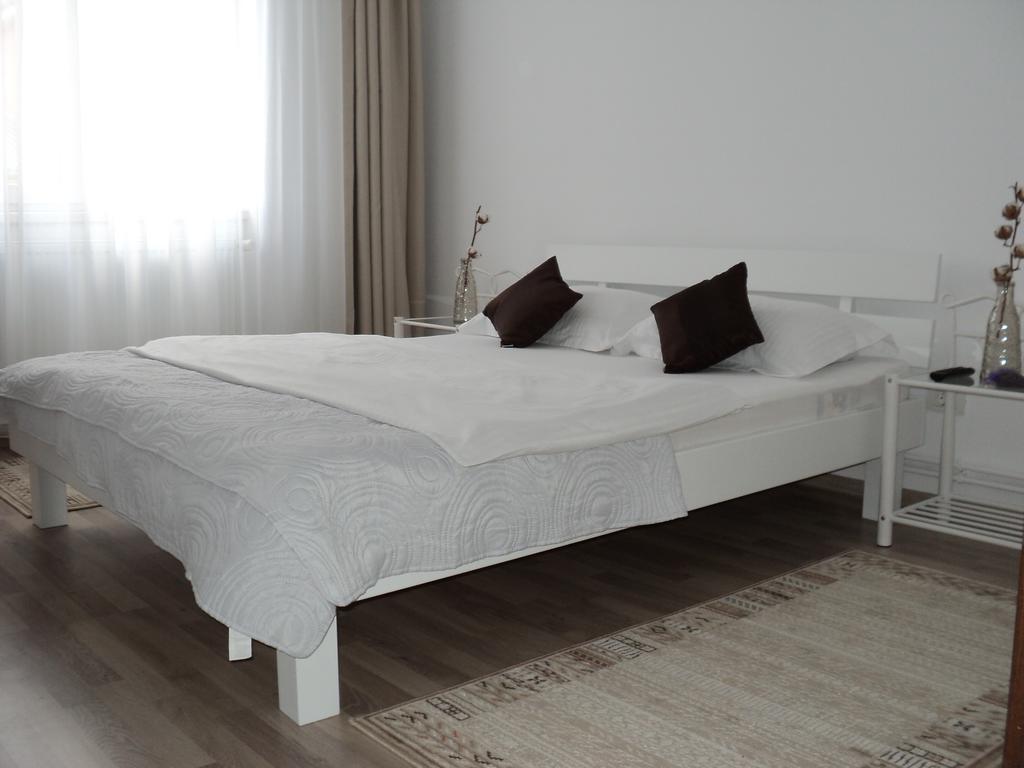 Joy Apartment Тимишоара Экстерьер фото