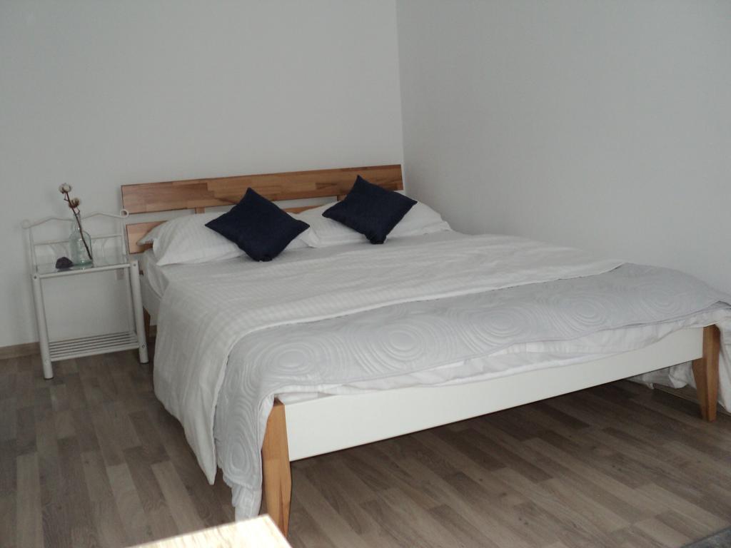 Joy Apartment Тимишоара Экстерьер фото