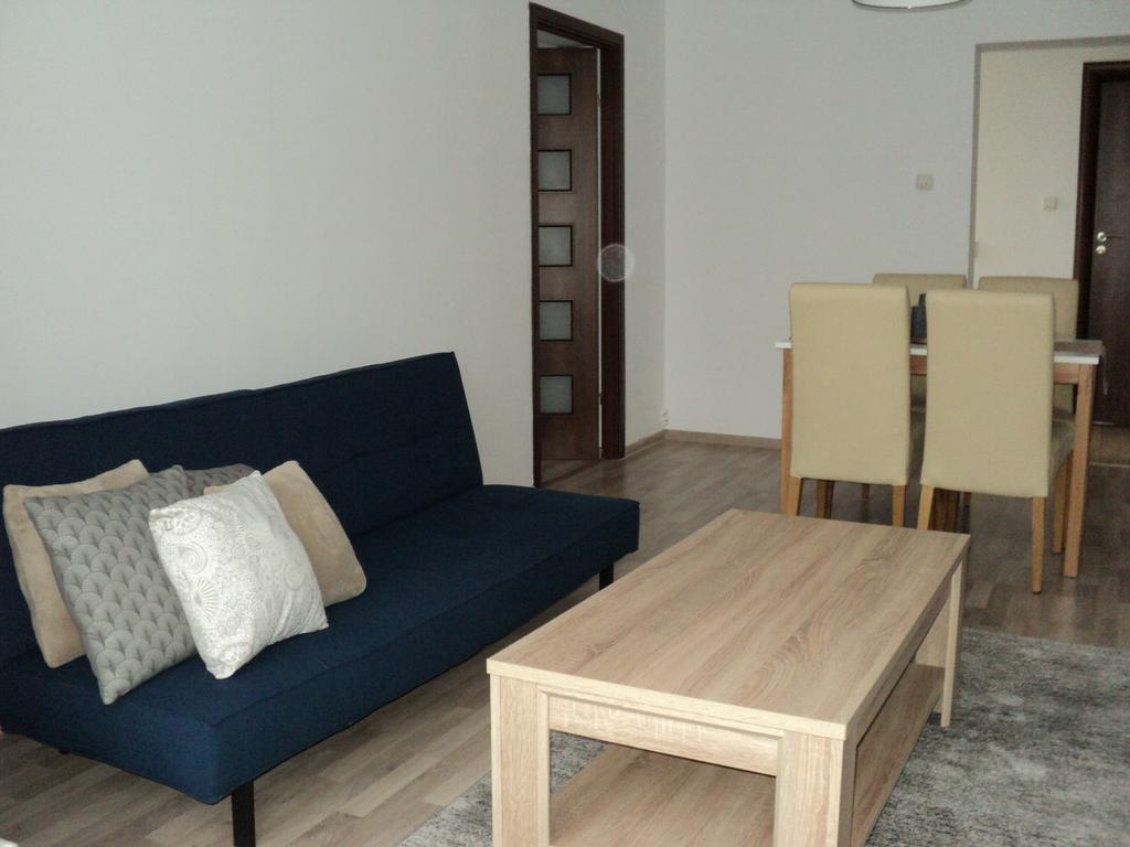 Joy Apartment Тимишоара Экстерьер фото