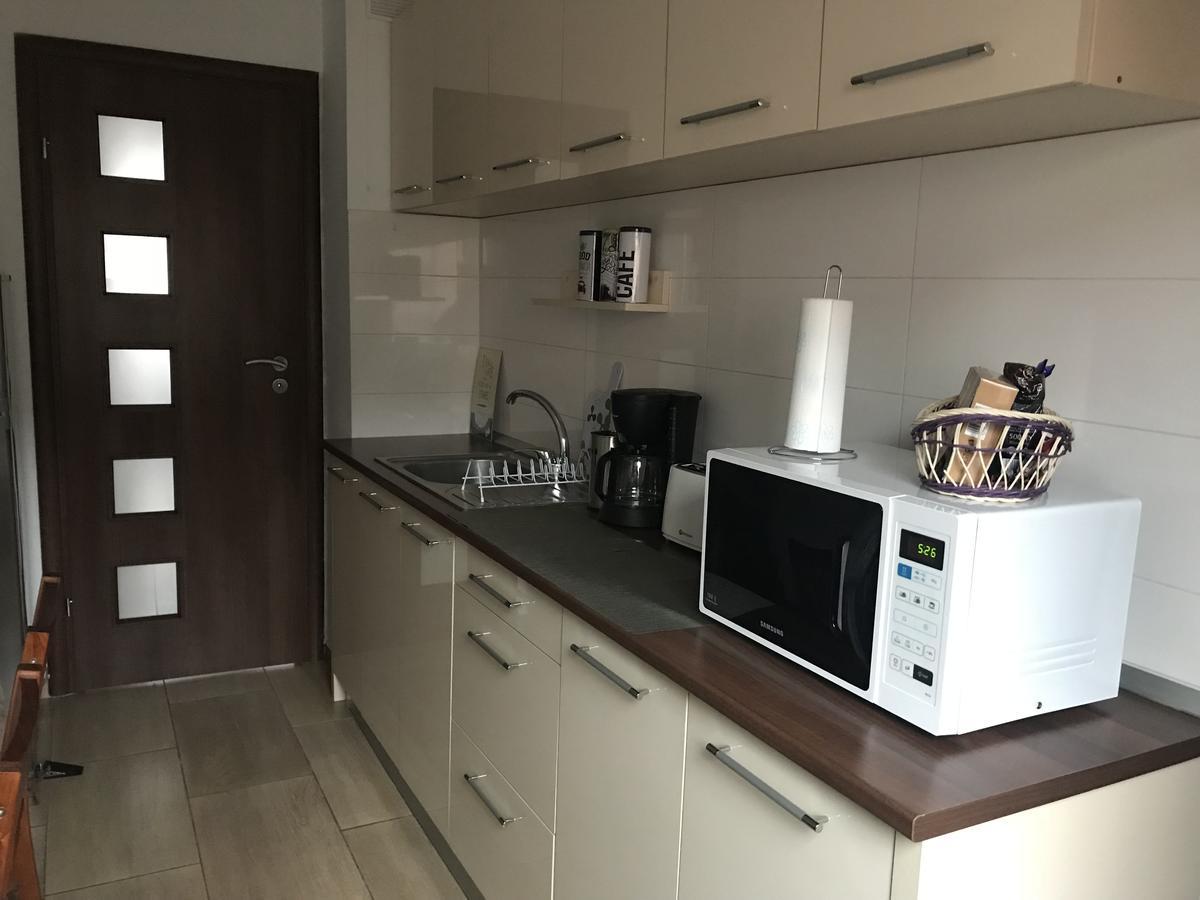 Joy Apartment Тимишоара Экстерьер фото