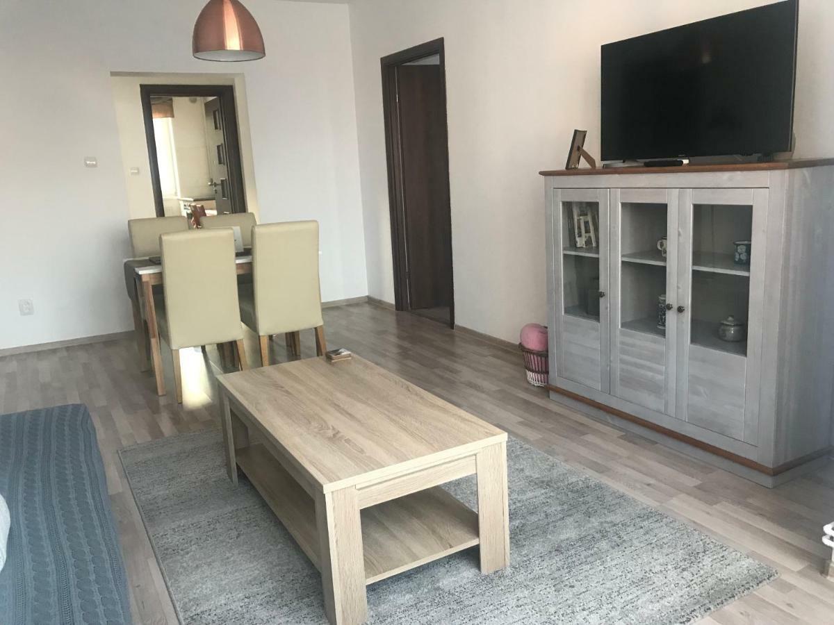 Joy Apartment Тимишоара Экстерьер фото