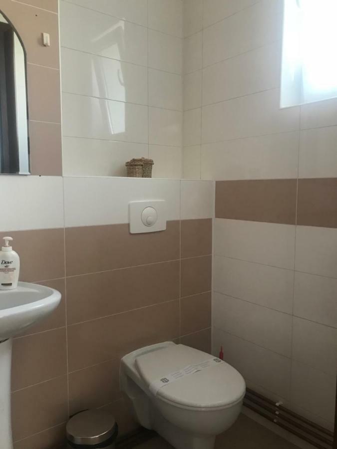 Joy Apartment Тимишоара Экстерьер фото